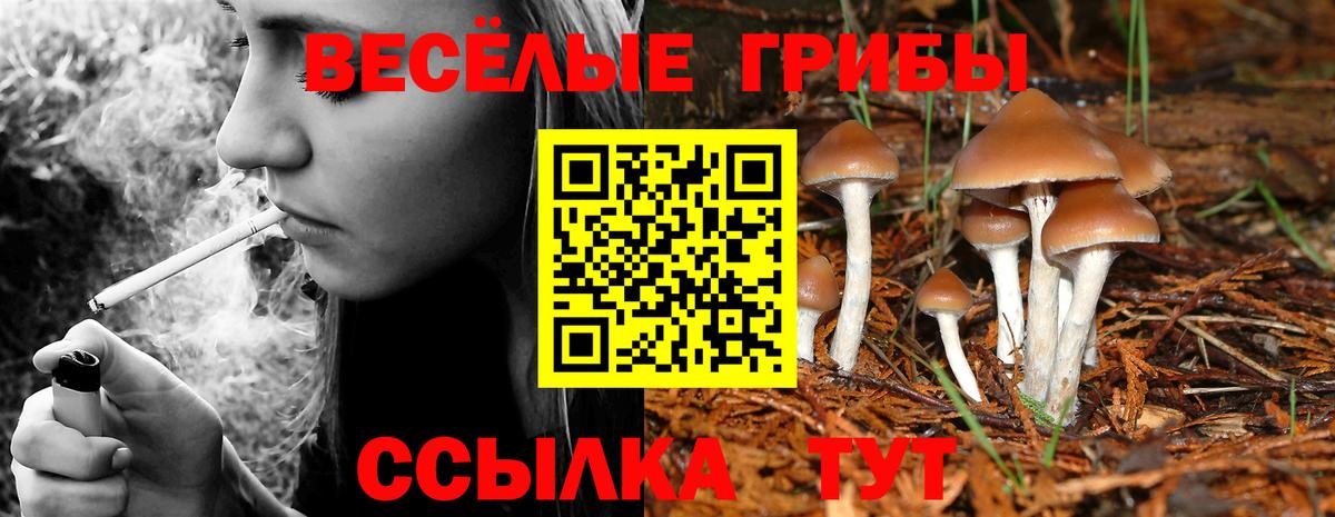 где продают наркотики  Вход с VPN  Кстово  Галлюциногенные грибы мицелий 