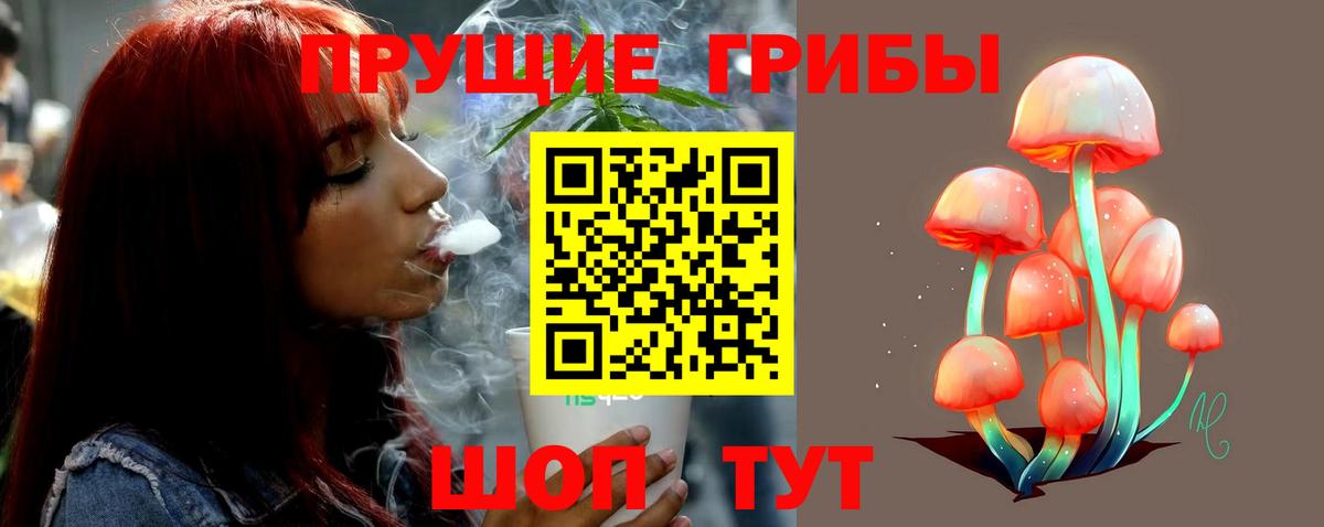 Псилоцибиновые грибы Cubensis Кстово